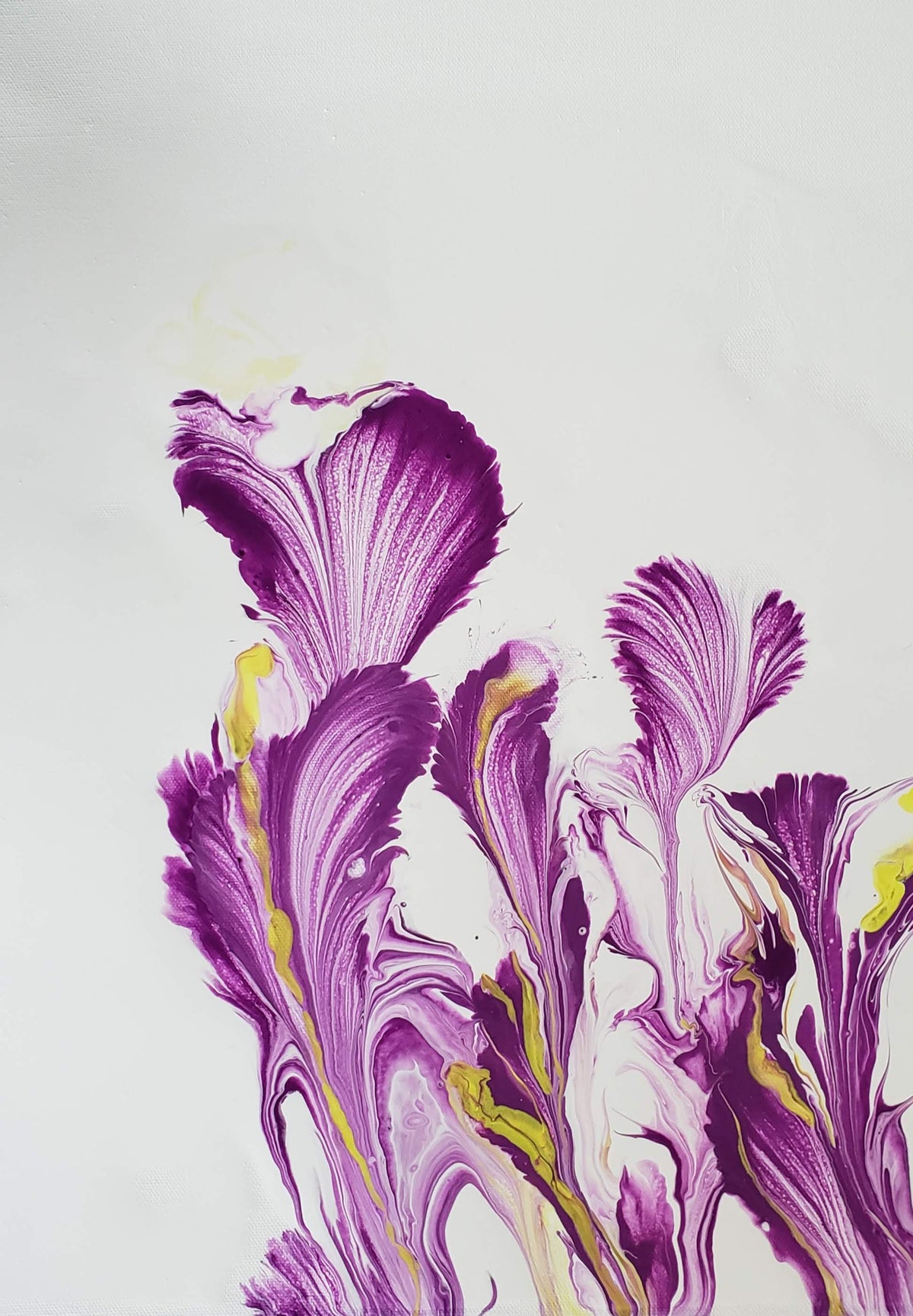 Colored by Nature-Purple